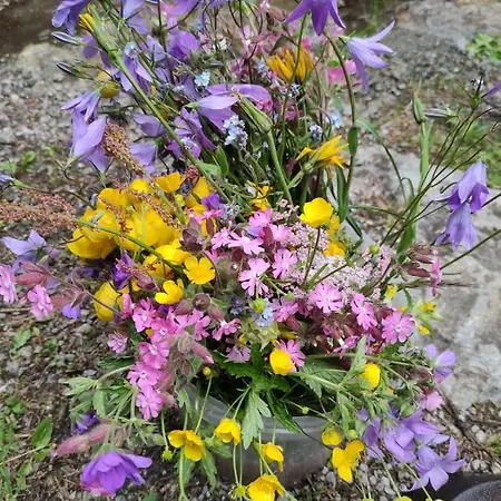 Lägenhet Groassehof Haus Gstrein Imsterberg
