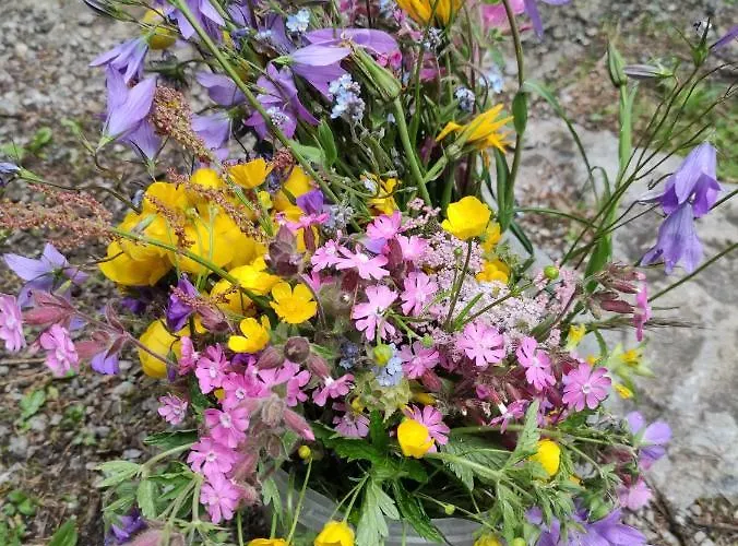 아파트 Groassehof Haus Gstrein Imsterberg